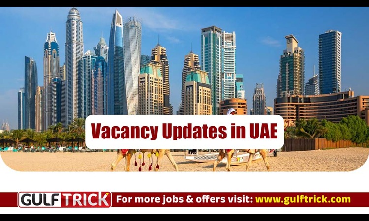 Laundry Supervisor Job Opportunities Available in Ras Al Khaimah, UAE